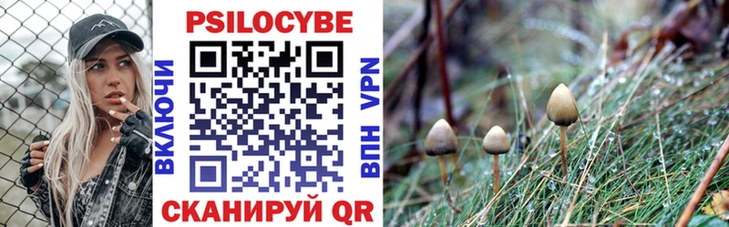 Псилоцибиновые грибы Magic Shrooms  Дмитров 